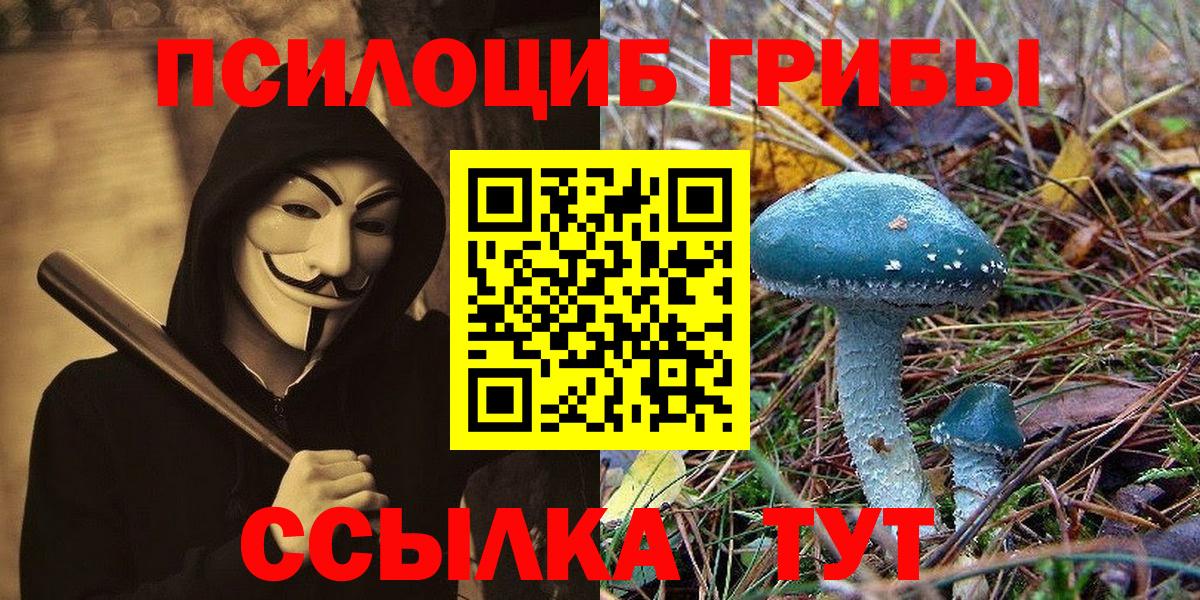 Псилоцибиновые грибы мицелий  купить наркотики цена  Вход с VPN  Гагарин  Галлюциногенные грибы MAGIC MUSHROOMS 